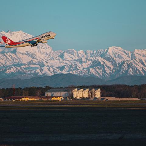 cargo8