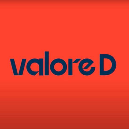 Valore D Valore d logo